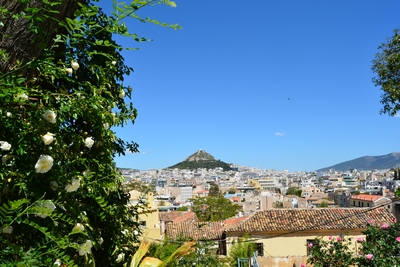 Athene